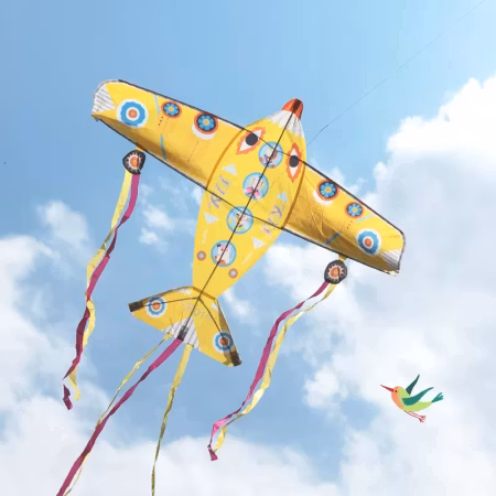 Djeco- Kite: Maxi Plane