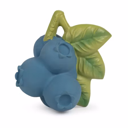 OLI & CAROL- Jerry the Blueberry