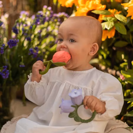 OLI & CAROL- Theo the Tulip