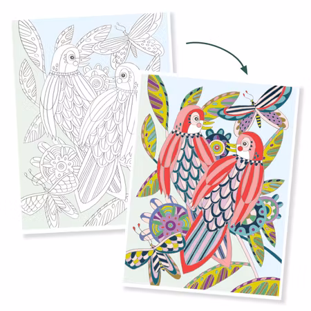 Djeco- Colouring Gallery - Birds / Målar alt klisterbok. Pyssla.