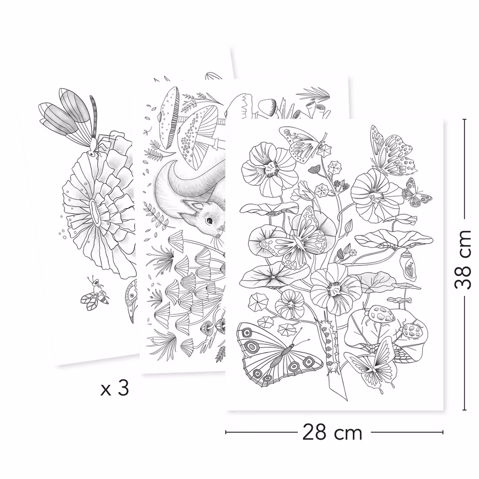 Djeco- Colouring Gallery - Naturalist/ Målar alt klisterbok. Pyssla.