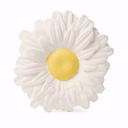 OLI & CAROL- Margarita the Daisy