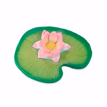 OLI & CAROL- Water Lily