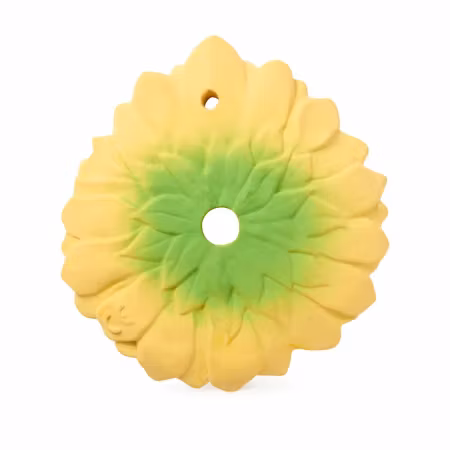 OLI & CAROL- Sun the Sunflower