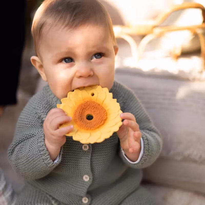 OLI & CAROL- Sun the Sunflower