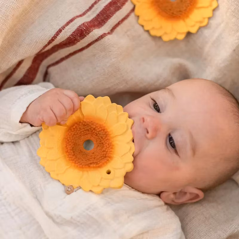 OLI & CAROL- Sun the Sunflower