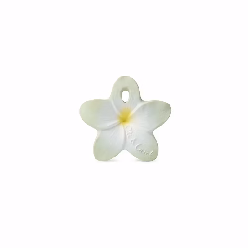 OLI & CAROL- Bali the Flower