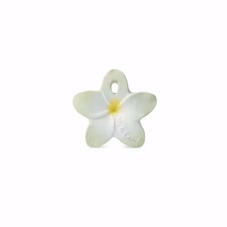 OLI & CAROL- Bali the Flower