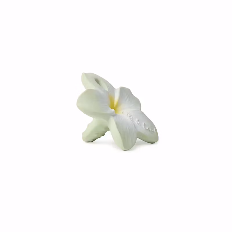 OLI & CAROL- Bali the Flower