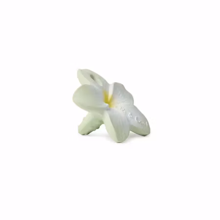 OLI & CAROL- Bali the Flower
