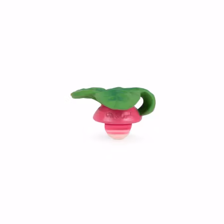 OLI & CAROL- Ramonita the Radish