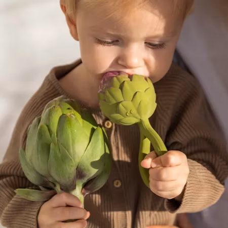 OLI & CAROL- Artichoke Rattle Toy
