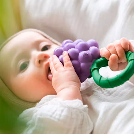 OLI & CAROL- Grape Rattle Toy