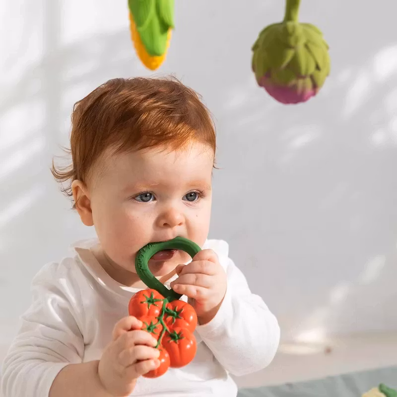 OLI & CAROL- Tomato Rattle Toy