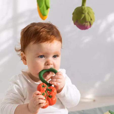 OLI & CAROL- Tomato Rattle Toy