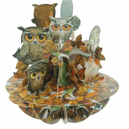 Santoro- Pirouettes Card - A Parliament Of Owls