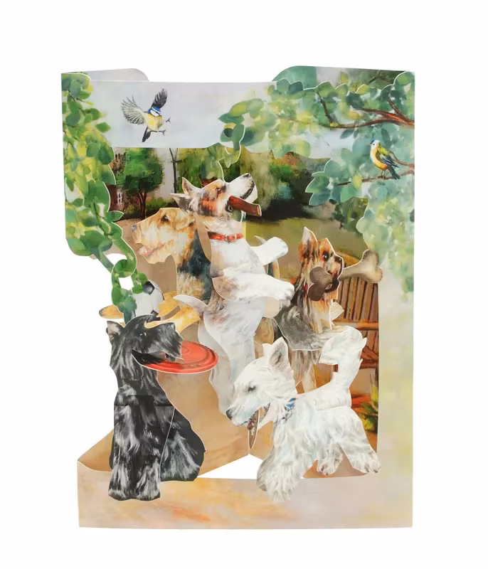 Santoro- Swing Cards - Terriers Playing