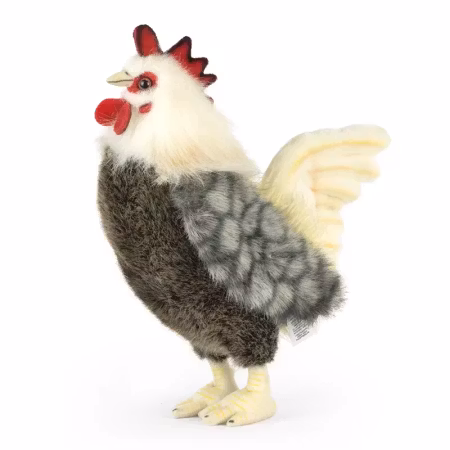 Living nature- Bantam Cockerel/ gosedjur