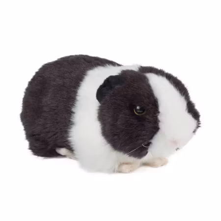 Keycraft Living nature- Black Guinea Pig with Sound/ gosedjur