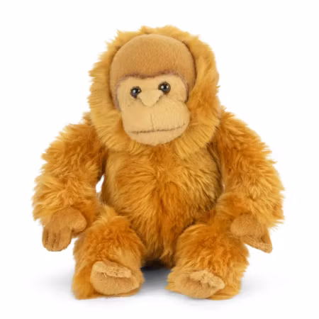 Living nature- Baby Orangutan/ gosedjur