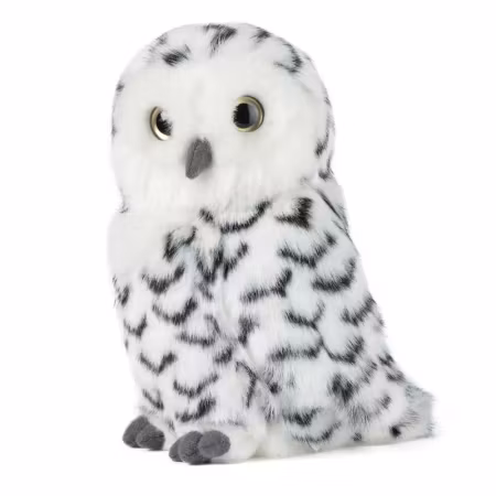 Living nature- Snowy Owl with Turning Head/gosedjur