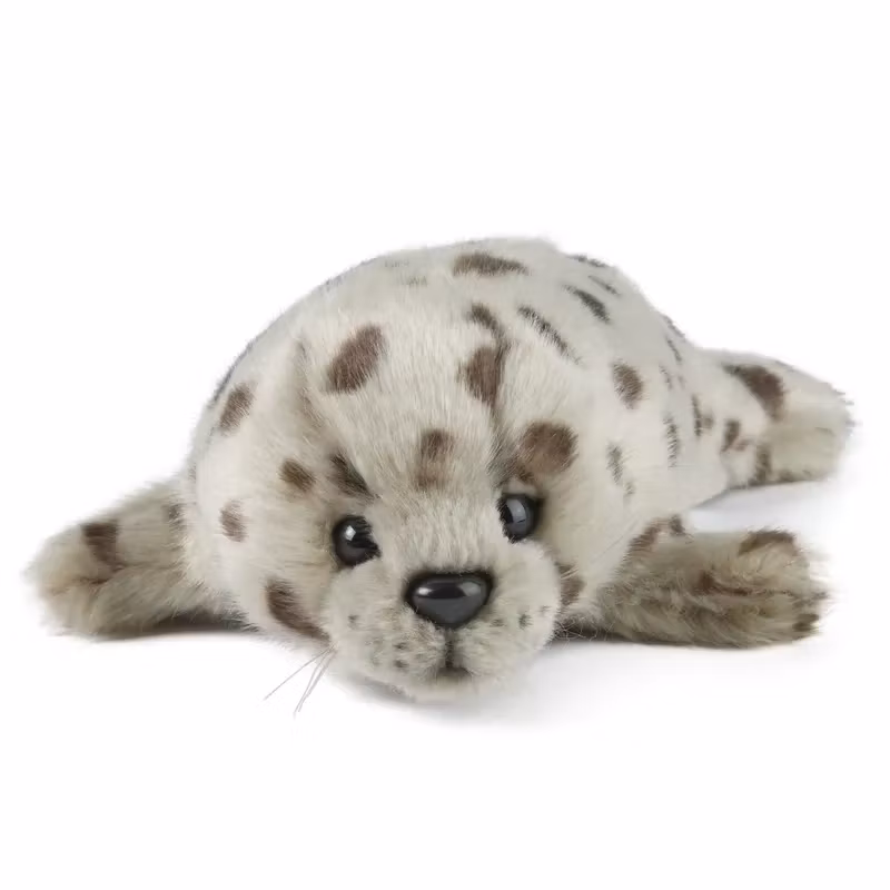 Living Nature- Common Seal Pup