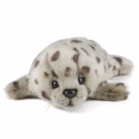 Living Nature- Common Seal Pup