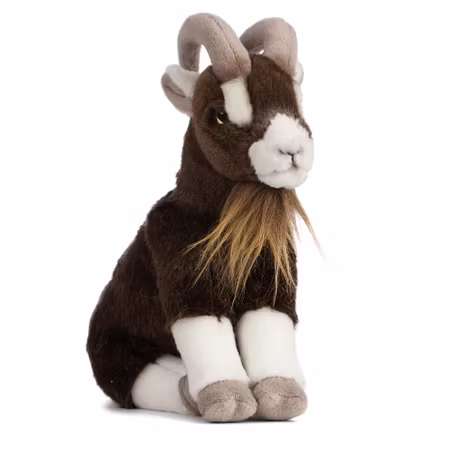 Living nature- Brown Goat Sitting/ gosedjur