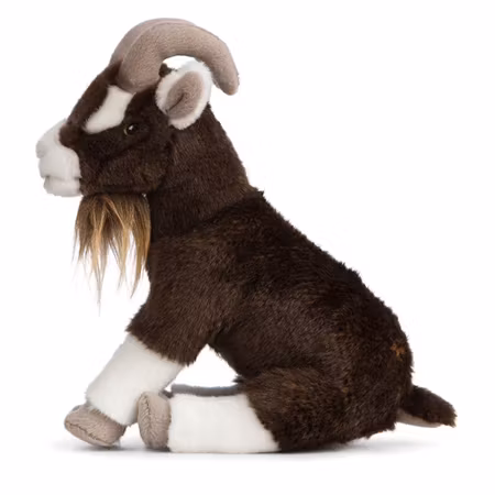 Living nature- Brown Goat Sitting/ gosedjur