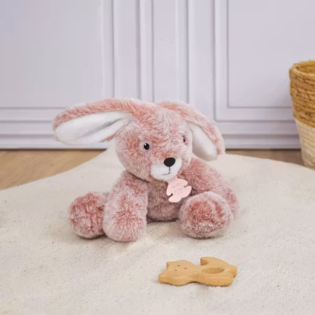 Doudou Et Compagnie- SWEETY MOUSSE S - BUNNY