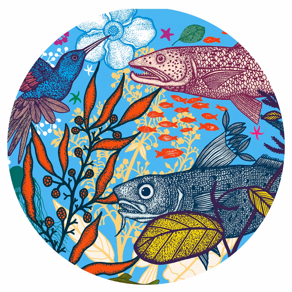 Djeco- Land and Sea, 1000 pcs - FSC MIX