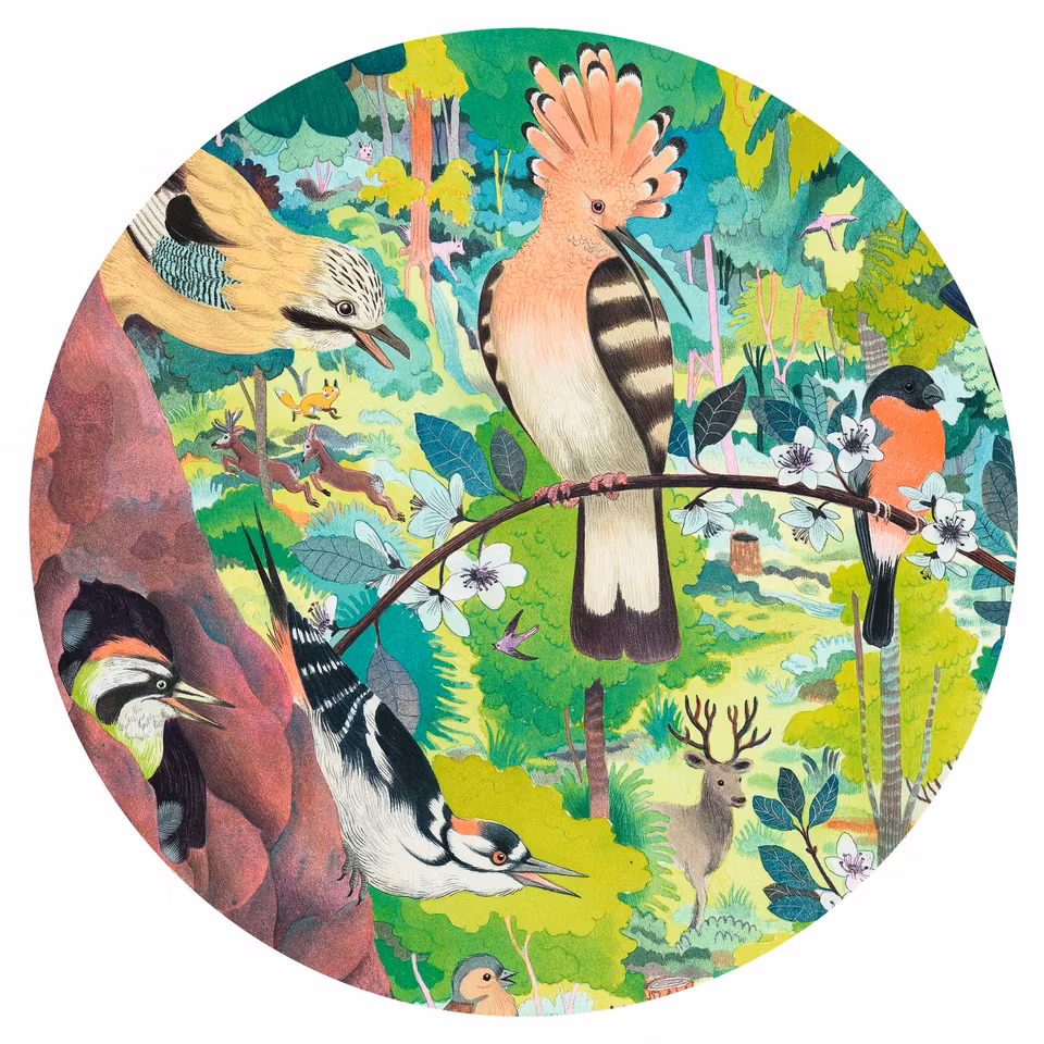 Djeco- Owls and birds 1000 pcs - FSC MIX