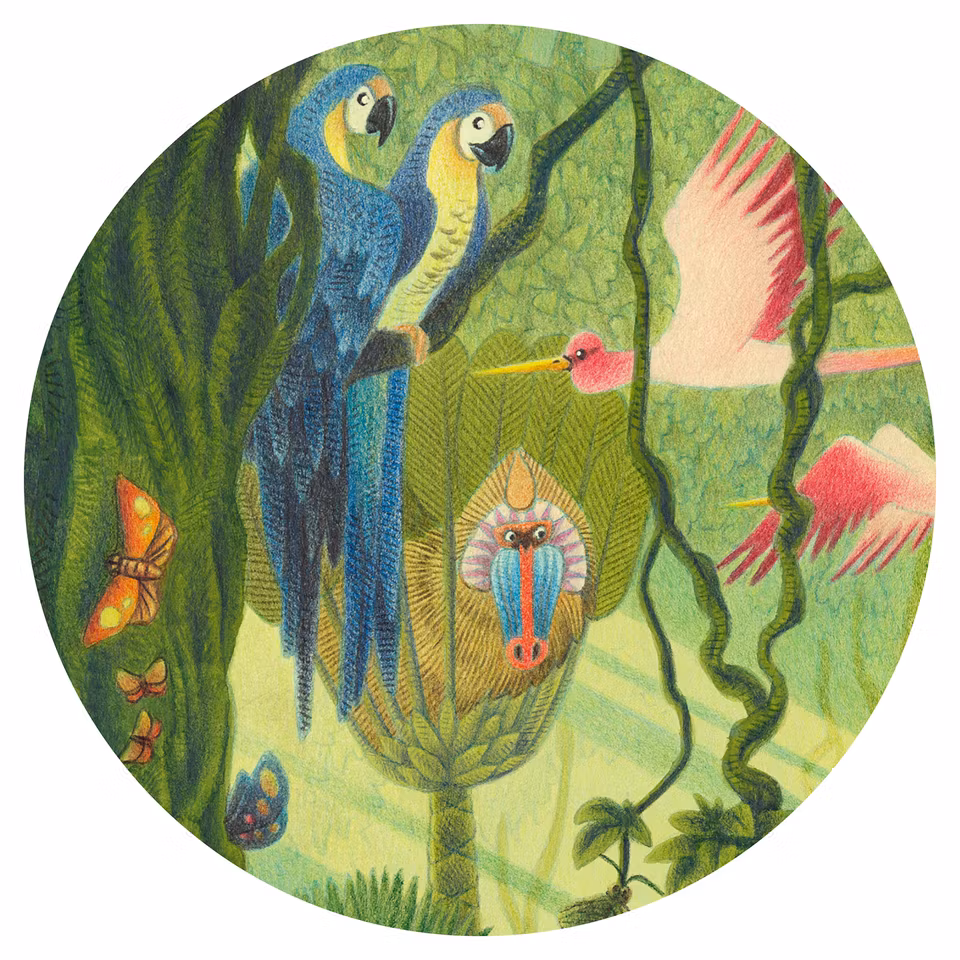 Djeco- In the Jungle, 54 pcs/ Pussel