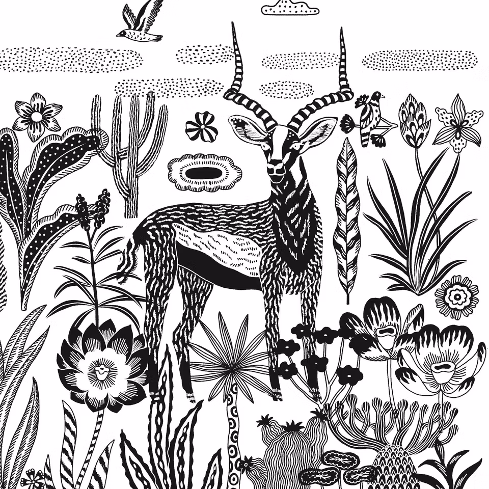 Djeco- Night-Time In the Savannah