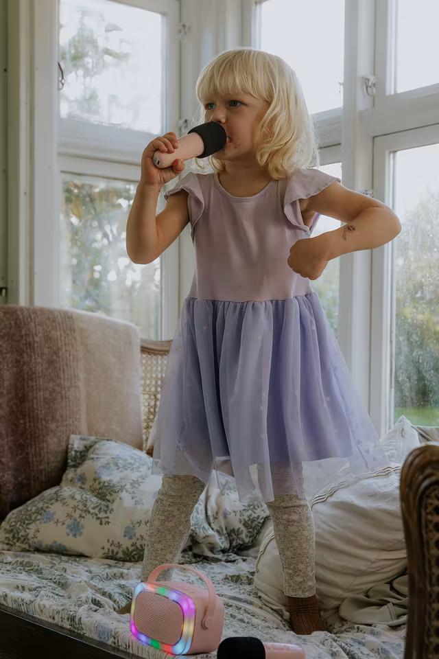 Lalarma- Lalarma Karaoke with lights and 2 microphone - Rose