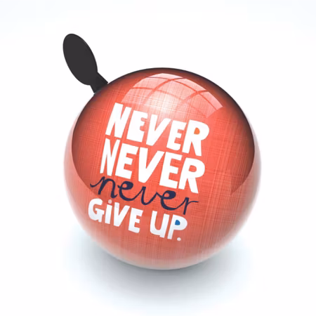 Liix-  Ding Dong Bell Carolyn Gavin Never Give Up