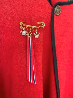 🇳🇴 Gullforgylt 17. mai-nål med fjellmotiv & krystaller