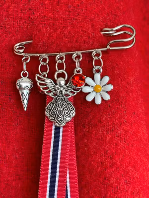 🇳🇴 17. mai-nål med engel, hvitveis & is