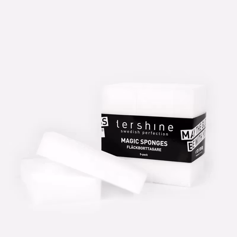 FLÄCKBORTTAGNINGSSVAMP 5-PACK