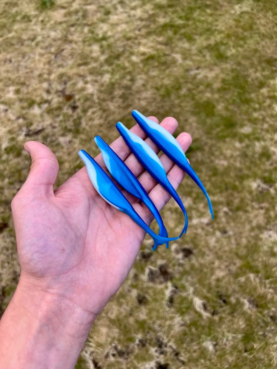 V-Tail 12,5 cm (5")