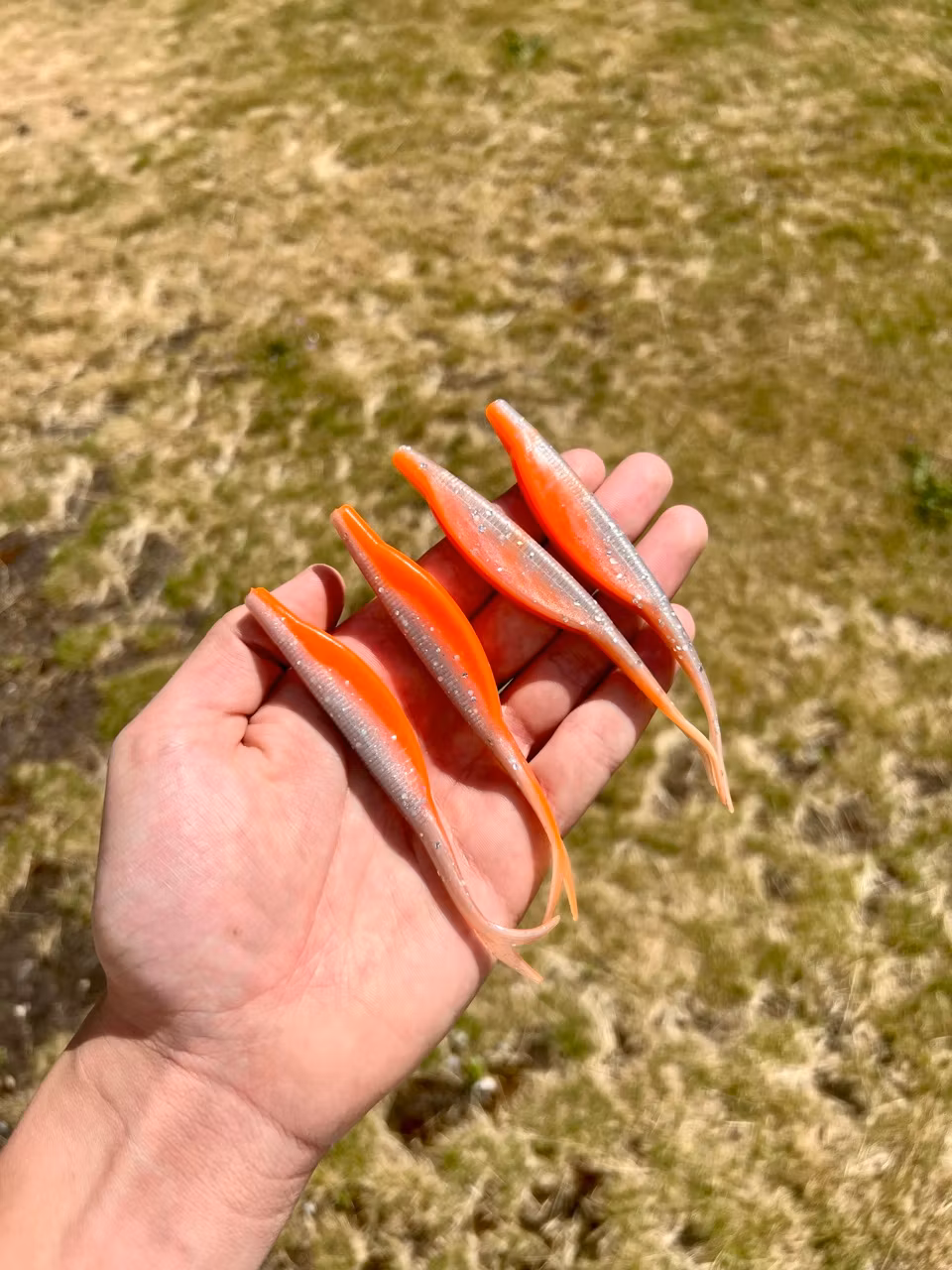 V-Tail 12,5 cm (5")
