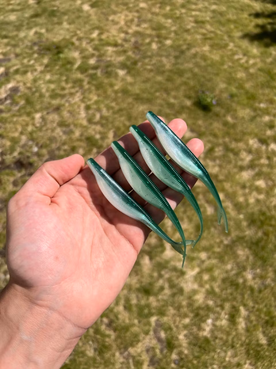 V-Tail 12,5 cm (5")