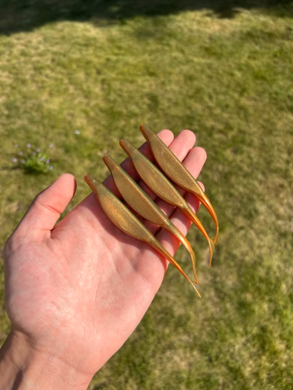 V-Tail 12,5 cm (5")