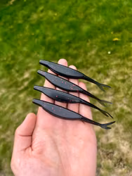 V-Tail 12,5 cm (5")
