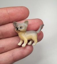 Hund miniatyr, miniatyrhund, minihund (variant 17)