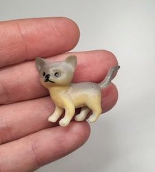 Hund miniatyr, miniatyrhund, minihund (variant 17)