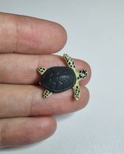 Kylskåpsmagnet Sköldpadda, miniatyr, minidjur med magnet