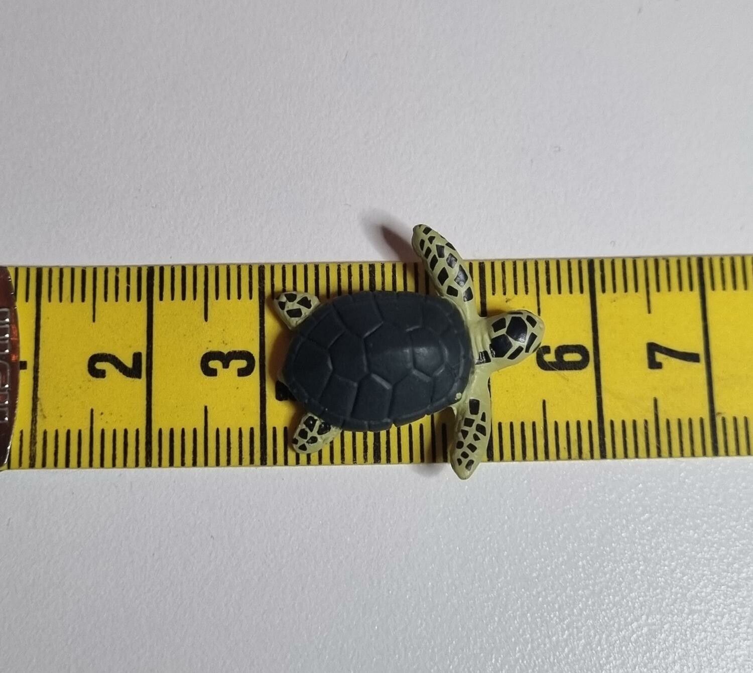 Kylskåpsmagnet Sköldpadda, miniatyr, minidjur med magnet