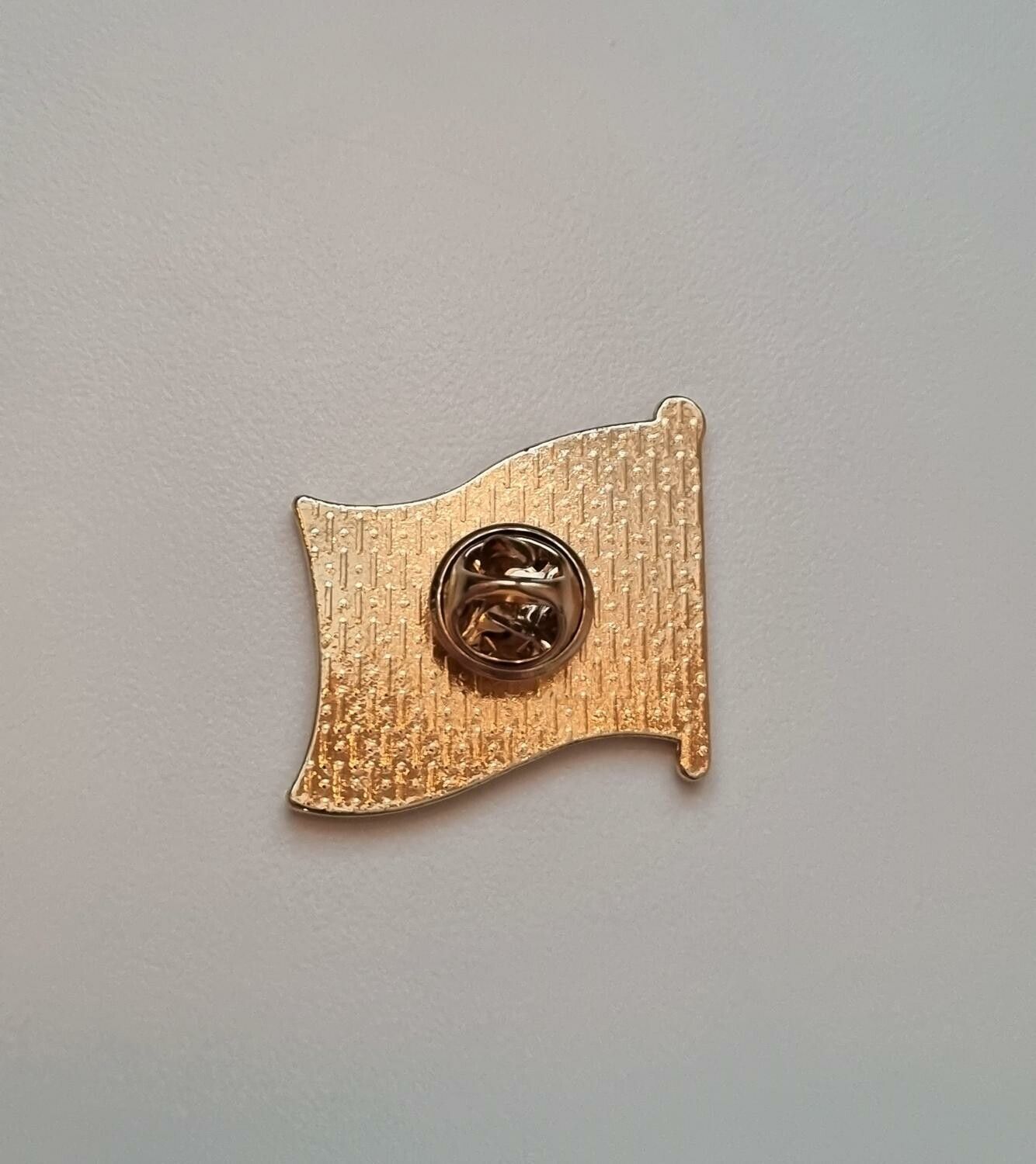 Pins, HBTQ - Flagga