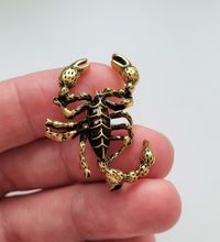 Brosch, söt liten skorpion (variant 1)